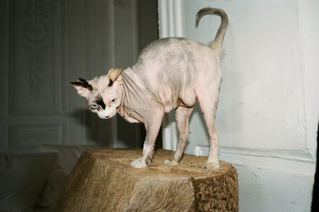 Michele Lamy - © Artlist