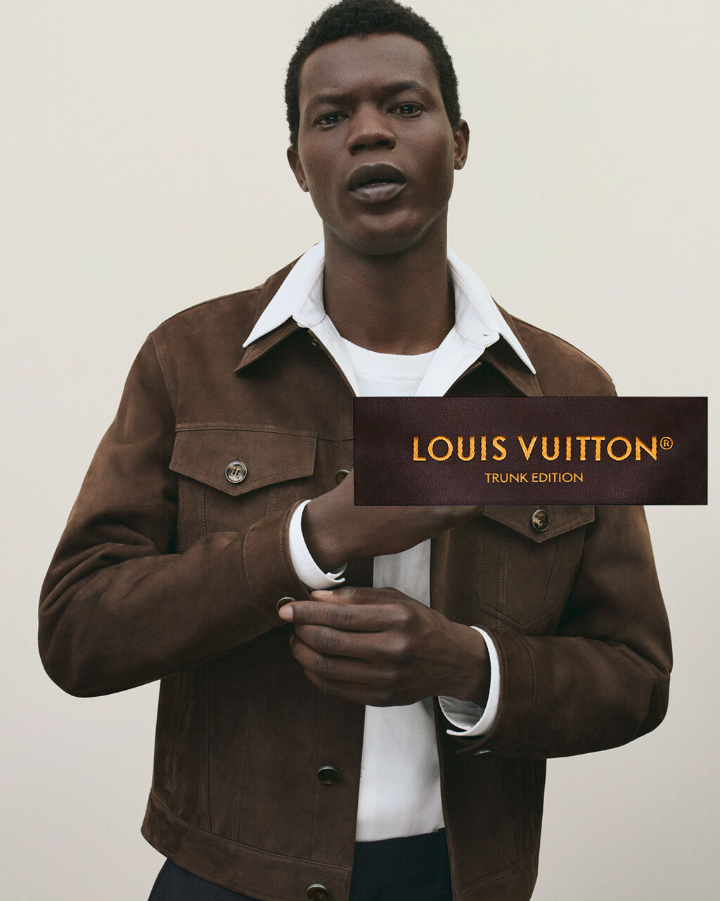 Louis Vuitton - © Artlist
