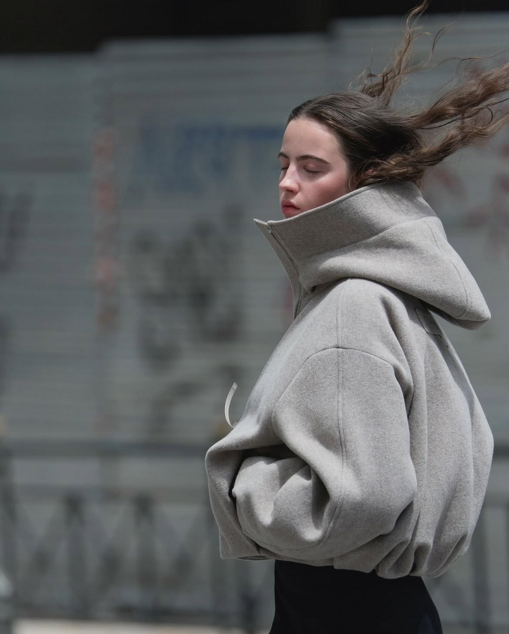 Canada Goose - © Artlist