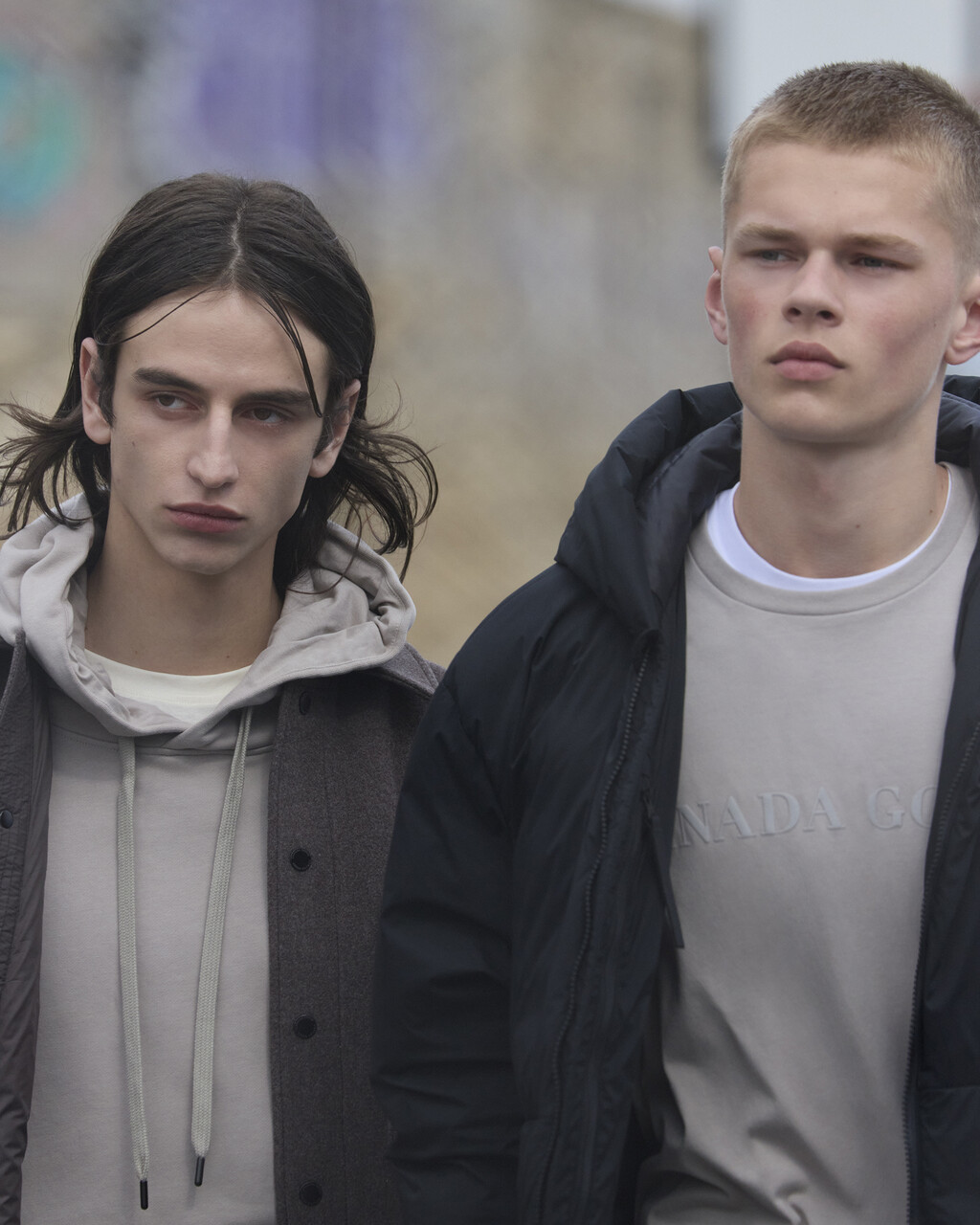 Canada Goose - © Artlist