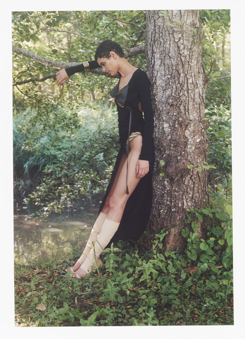 Carcy Magazine - © Artlist