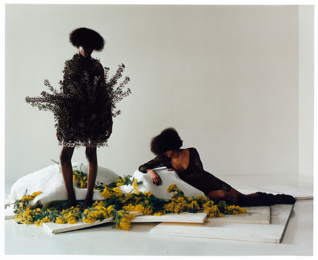 T Magazine - © Artlist