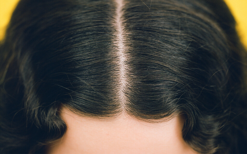 The Gentlewoman - © Artlist