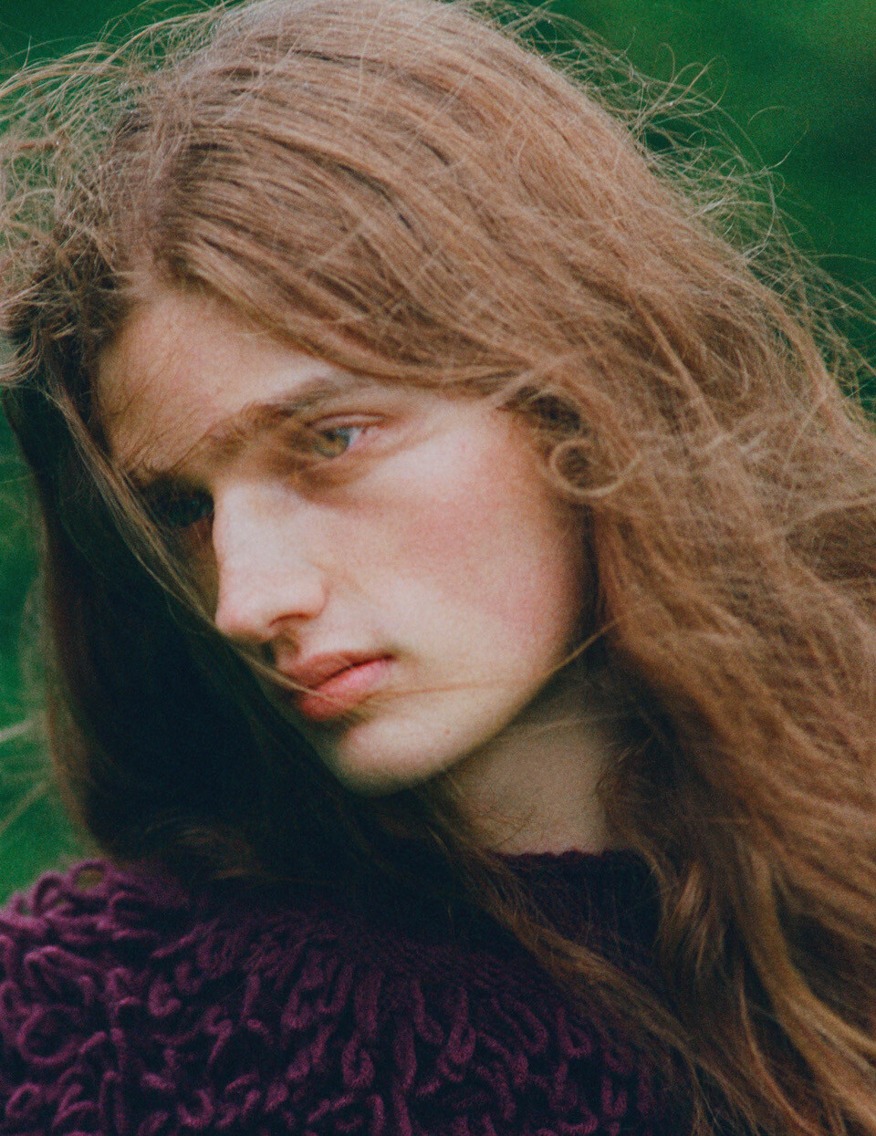 The Plant - © Artlist