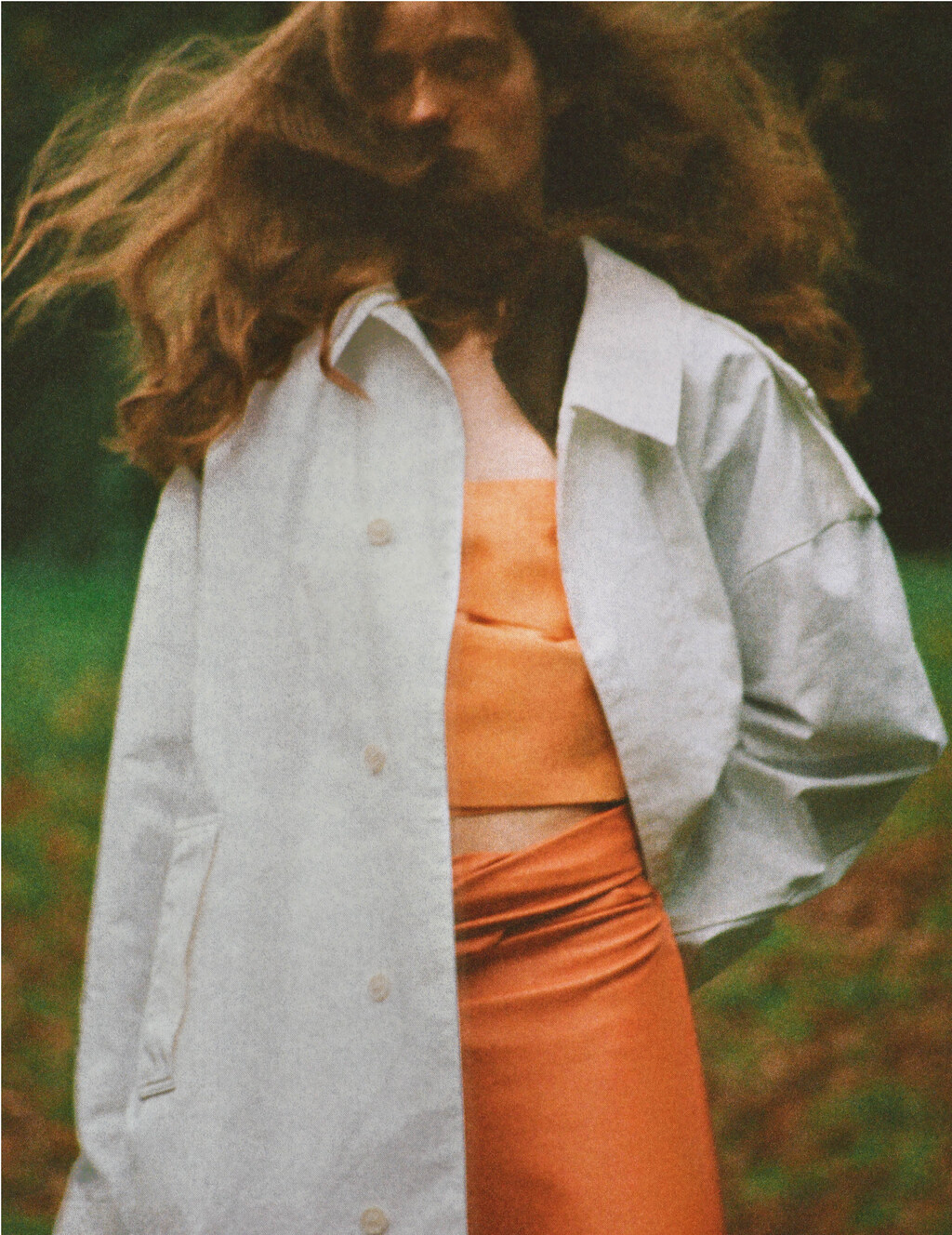 The Plant - © Artlist