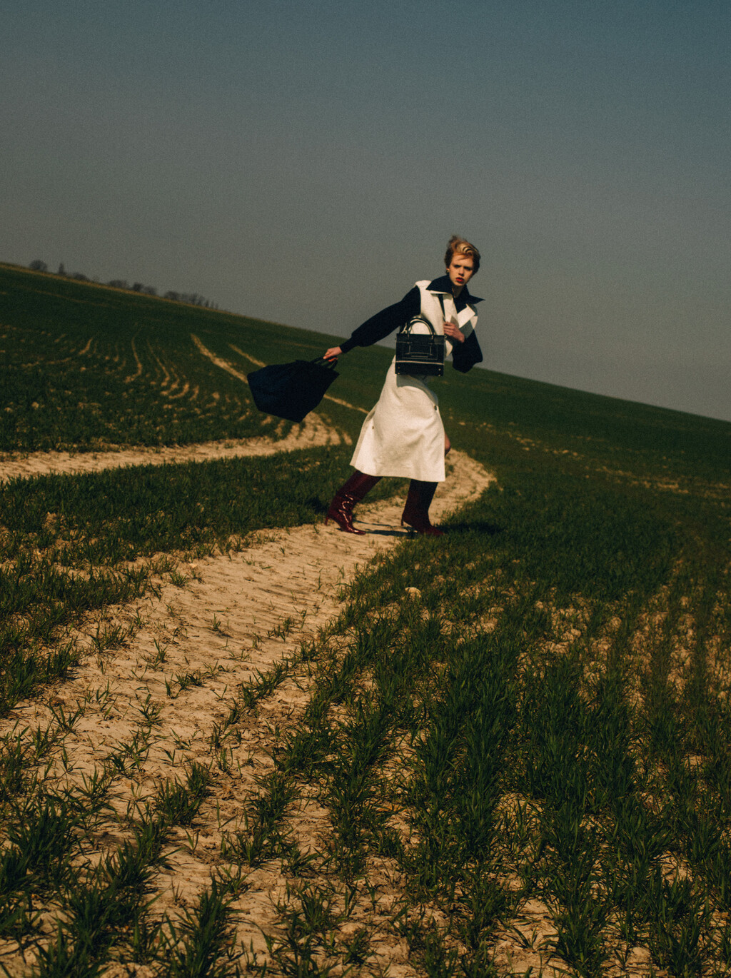 The Travel Almanac - © Artlist