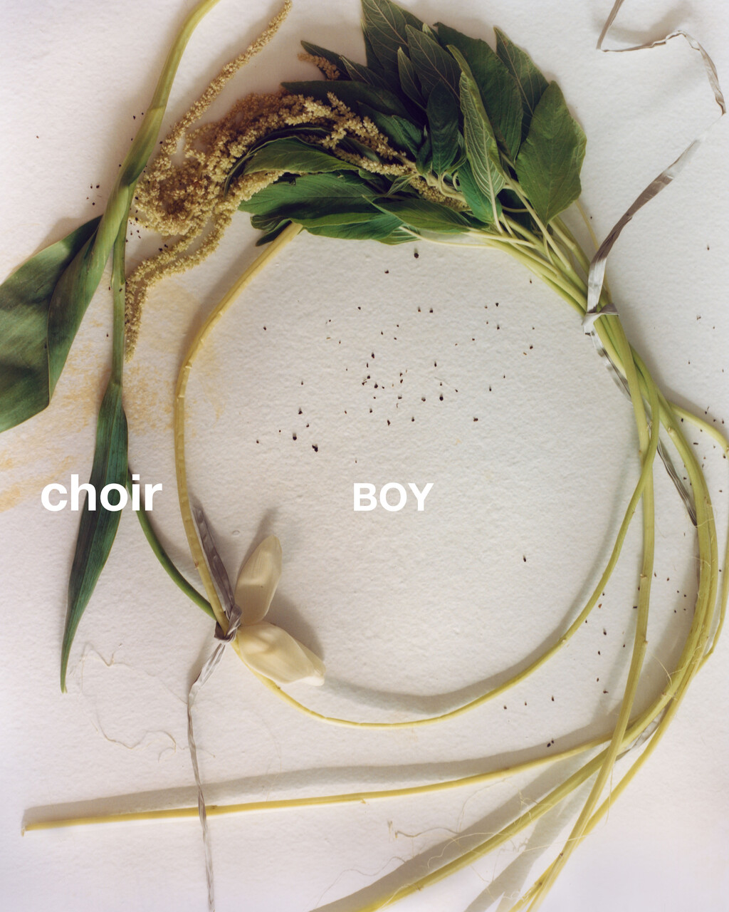 Choir Boy - © Artlist