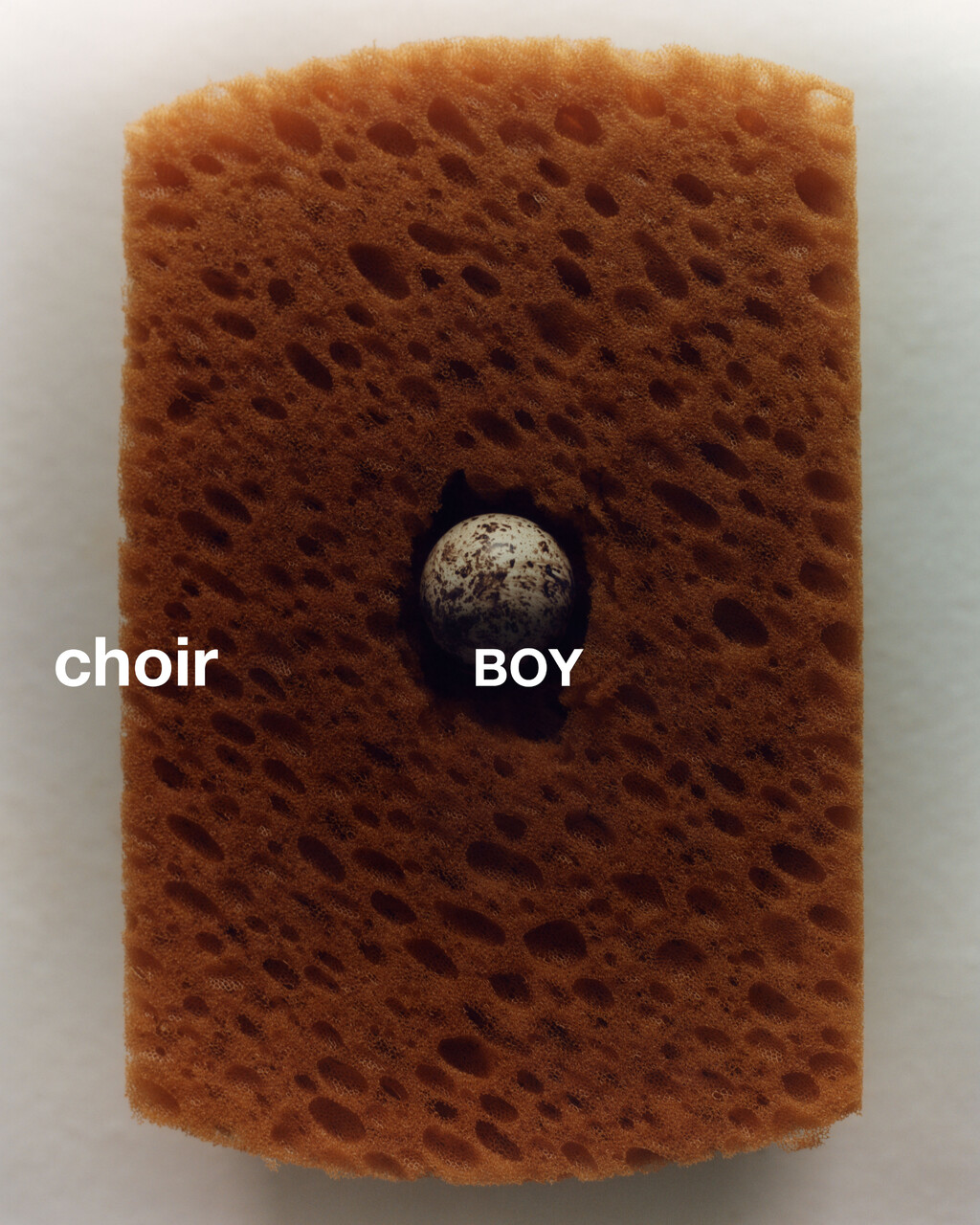 Choir Boy - © Artlist