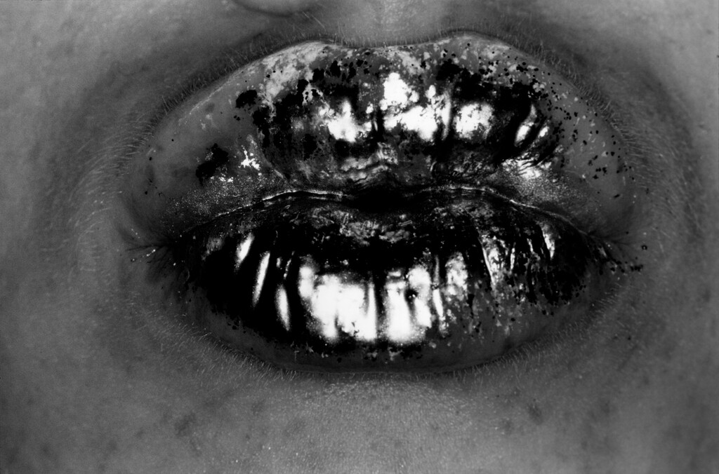 Truffle - © Artlist