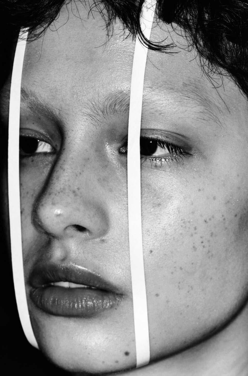 Truffle - © Artlist