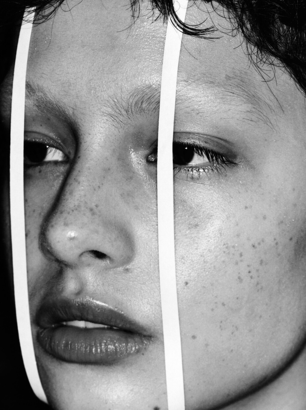 Truffle - © Artlist