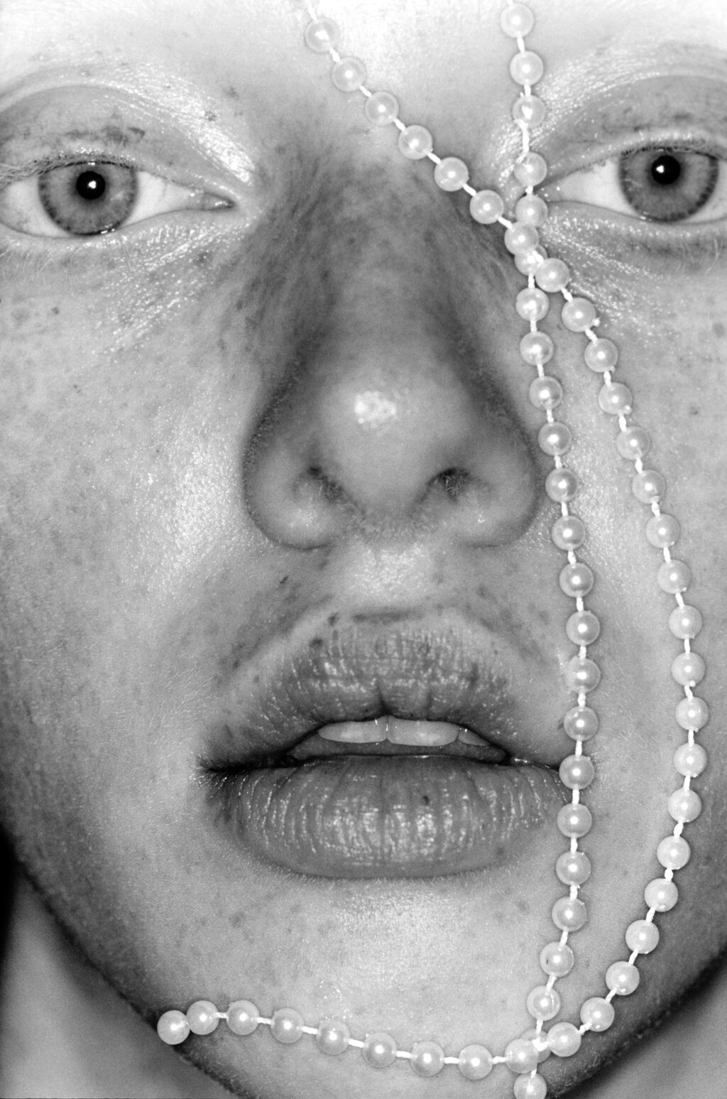 Truffle - © Artlist