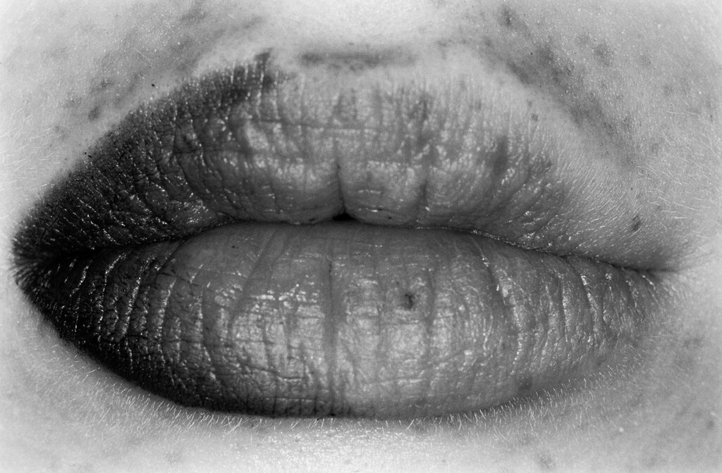 Truffle - © Artlist