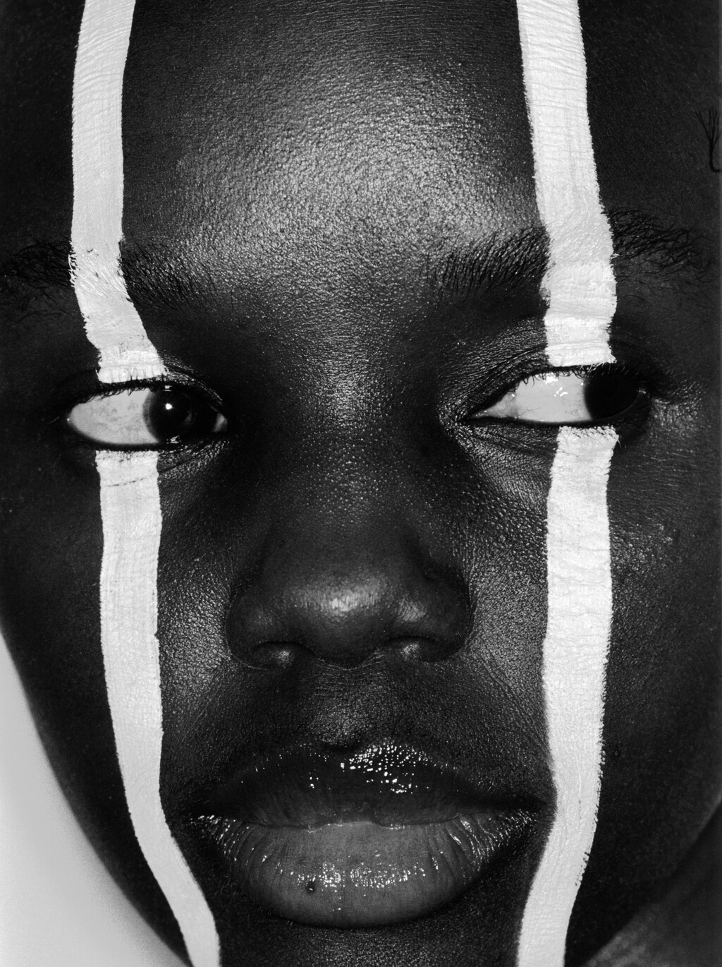 Truffle - © Artlist