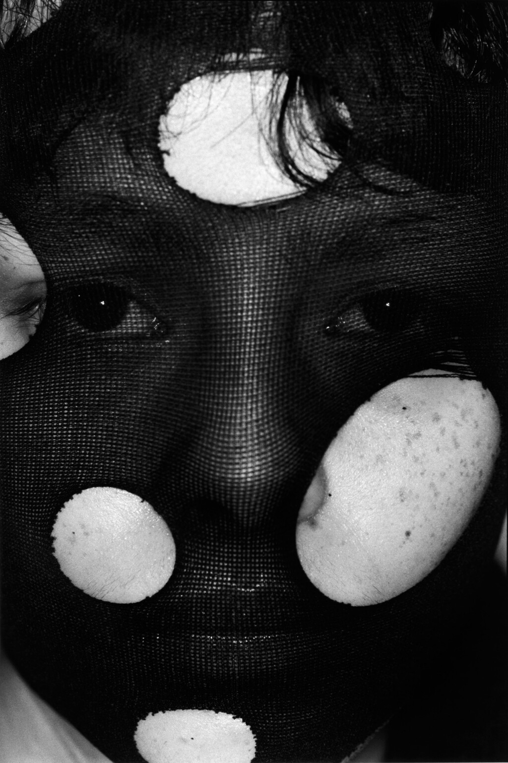 Truffle - © Artlist