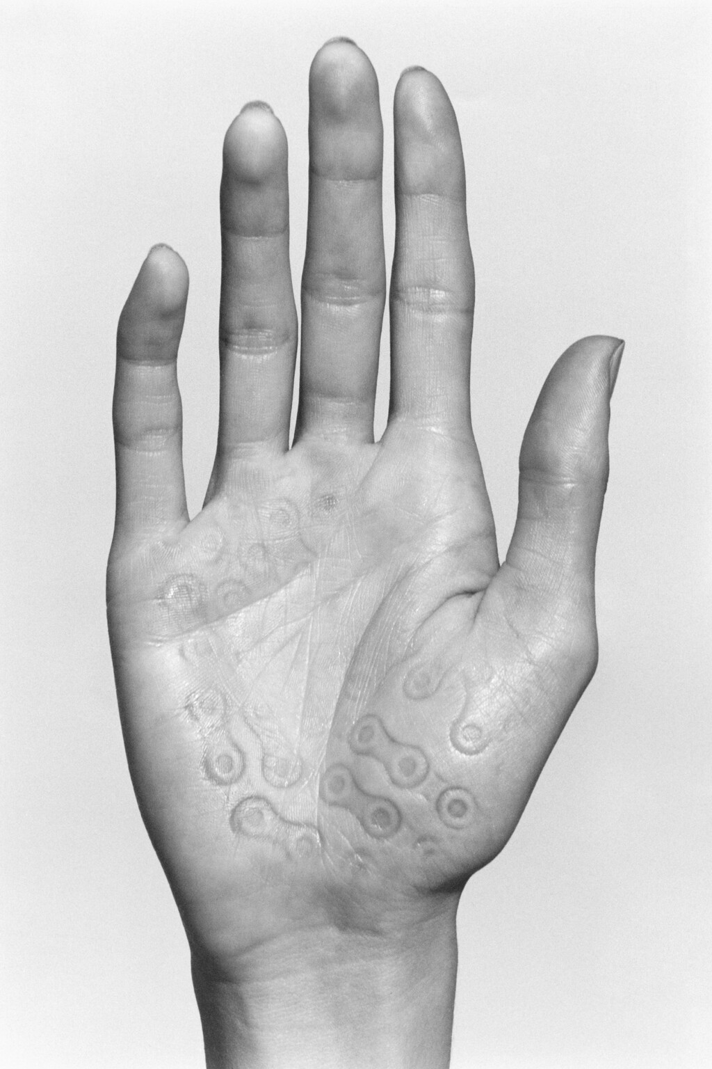 Imprint - © Artlist