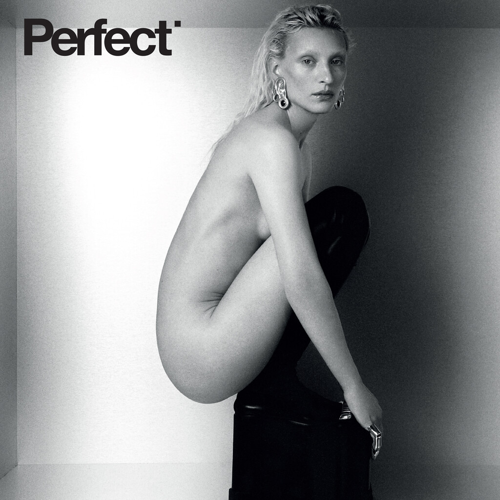 Perfect Magazine - © Artlist