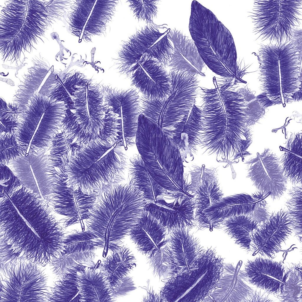 Feathers & Claws - © Artlist
