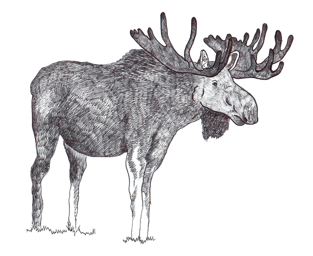 Hermès - © Artlist