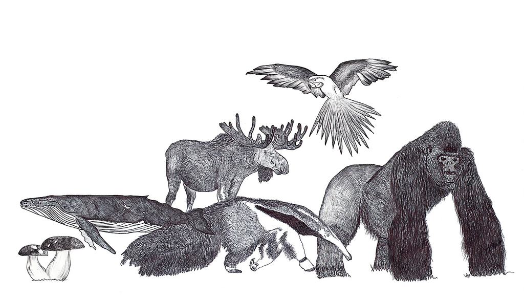 Hermès - © Artlist