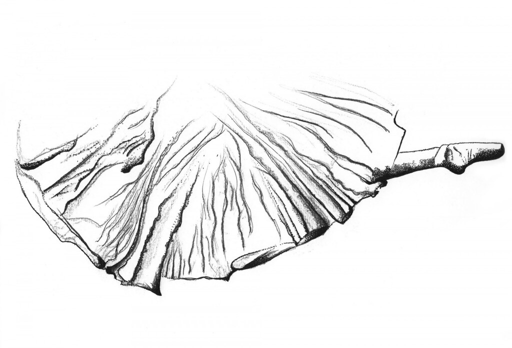 Ballerina - © Artlist