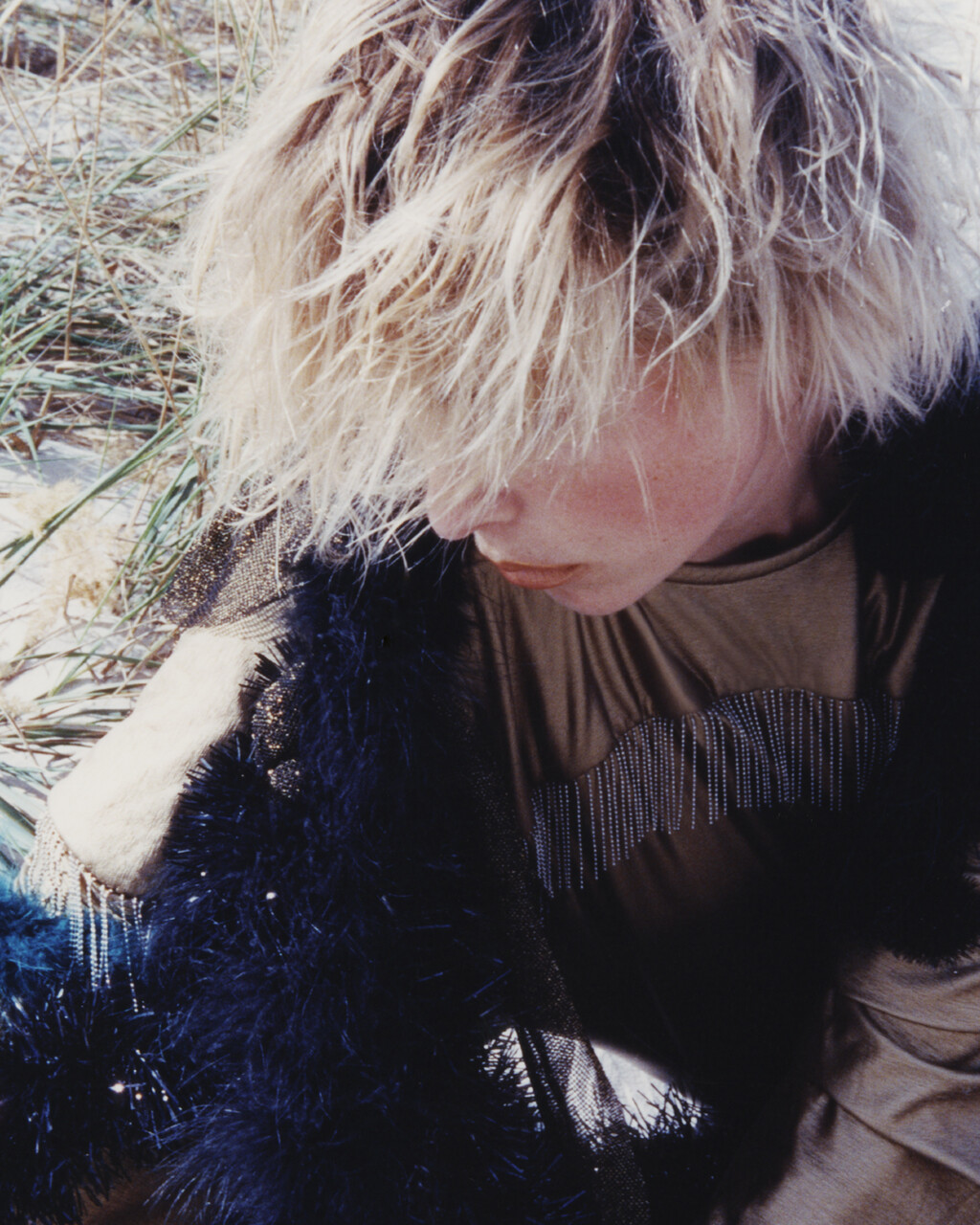 D la Repubblica - © Artlist