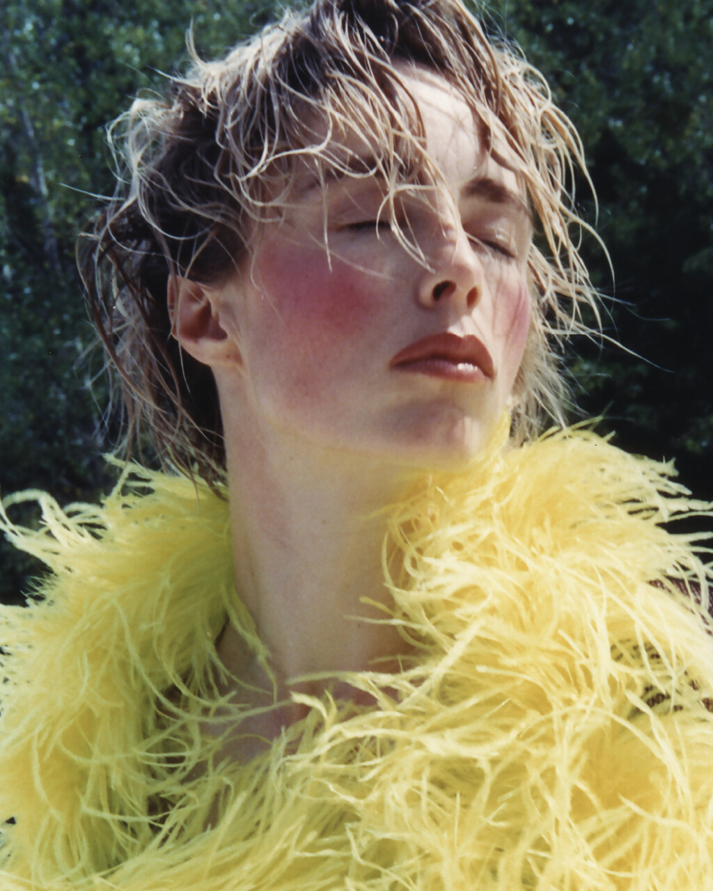 D la Repubblica - © Artlist