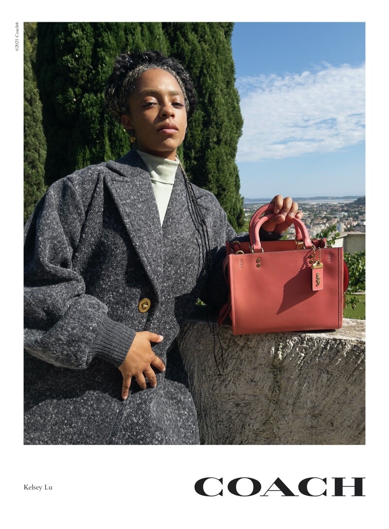 Coach - © Artlist