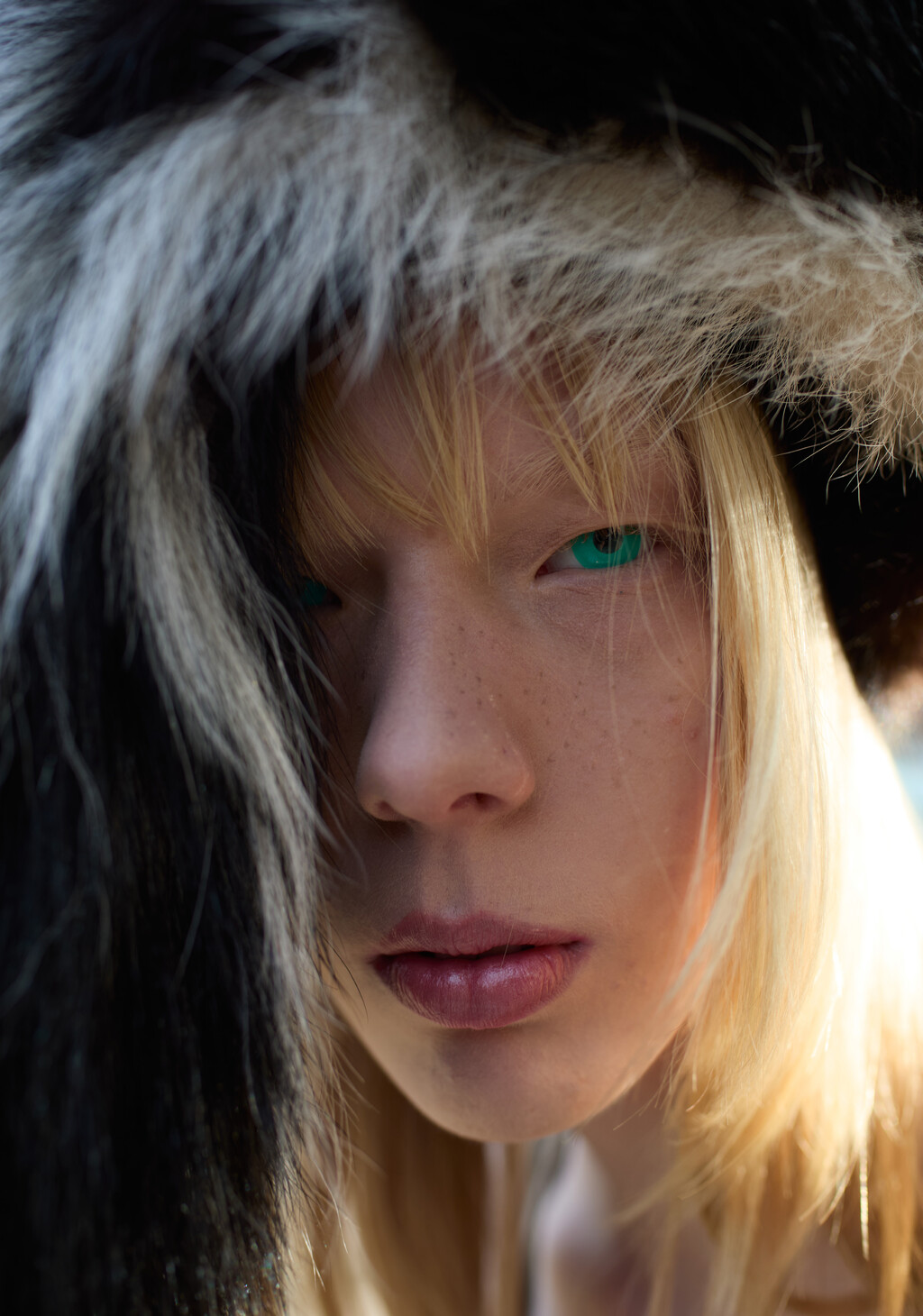 Carcy - © Artlist
