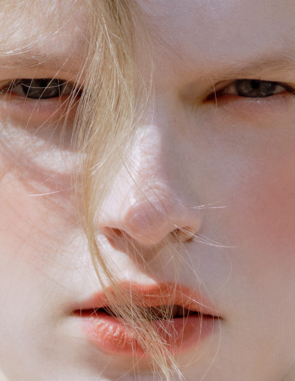 Dry Clean Only - © Artlist