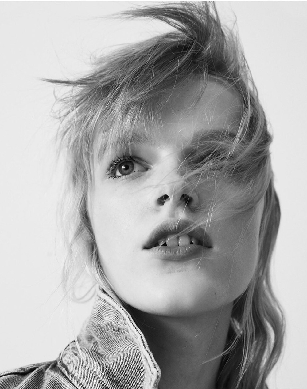 Zara - © Artlist