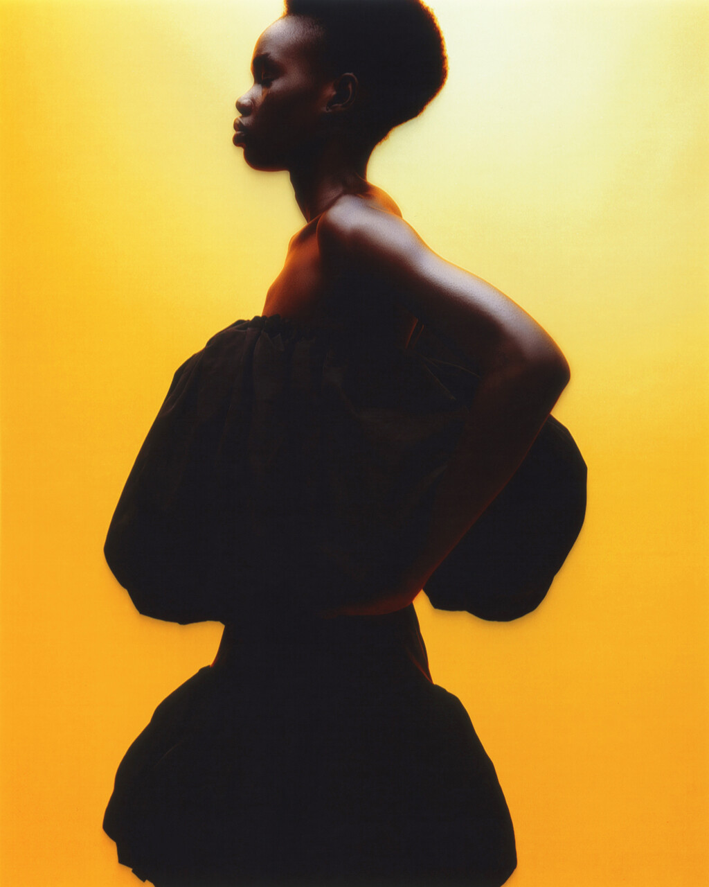 Editorial Project - © Artlist