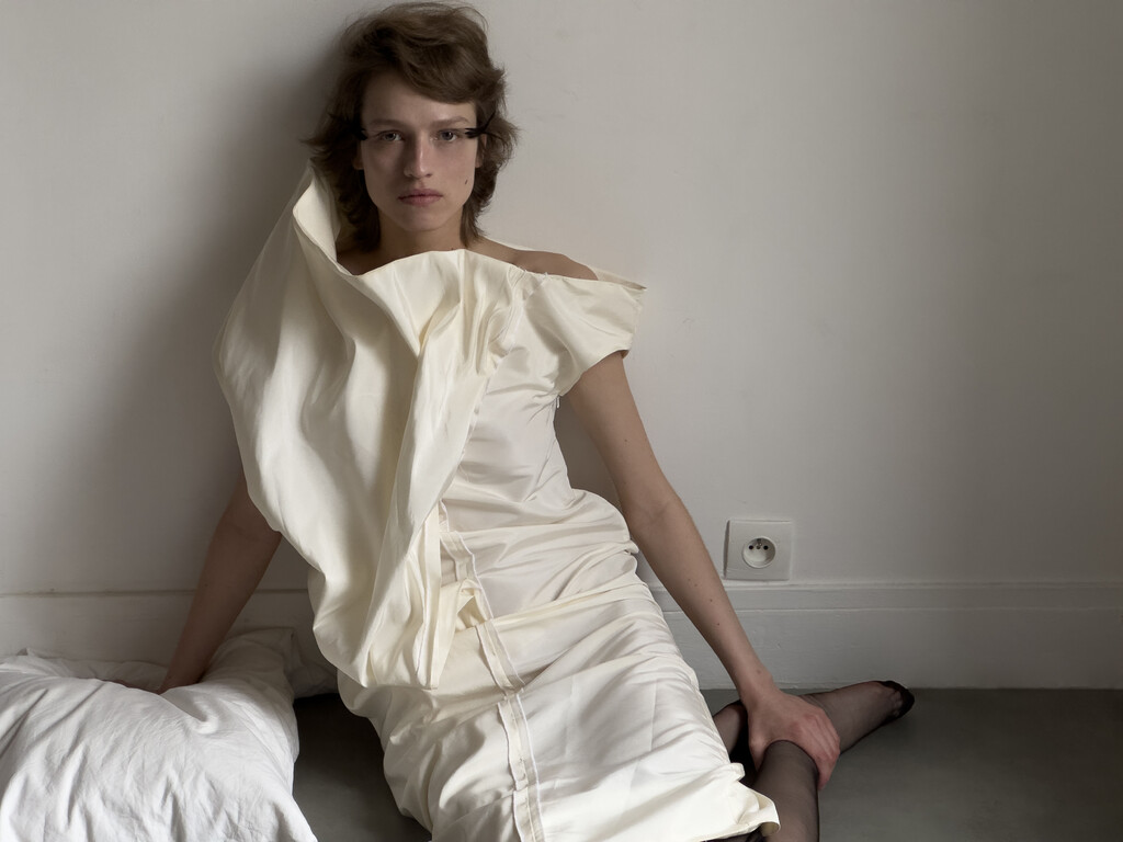 Swan Eyes - © Artlist