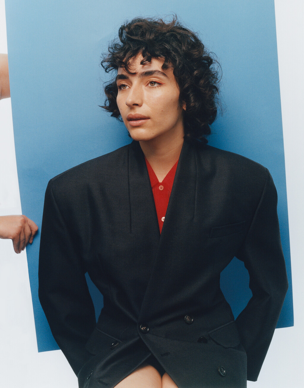 Alla Carta - © Artlist